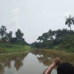 Oil Spill: Bayelsa Community Decries Neglect, Pollution of River and Creeks